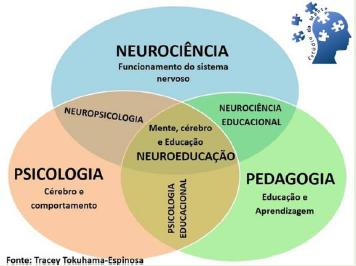 A neuroeducação: uma reflexão sobre a eventual contribuição dos jogos  educativos digitais no contexto escolar